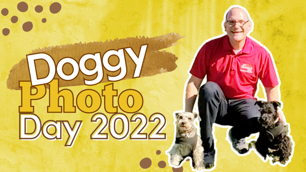 Doggy photo day 2022