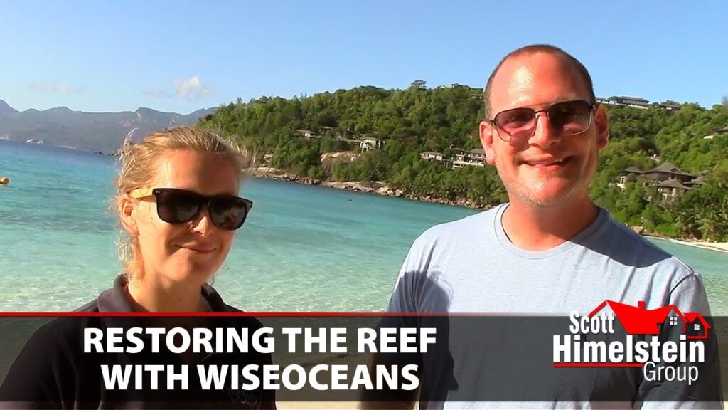 How WiseOceans Is Working to Restore the Coral Reef